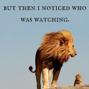 Meet your Posher, Joe